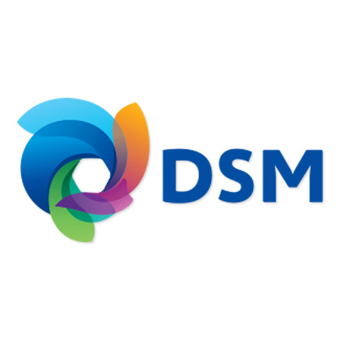 DSM